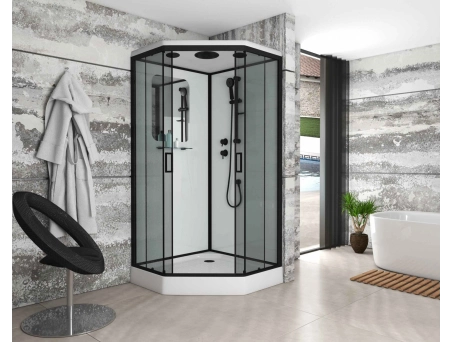 Душевая кабина Niagara Premium NG-6902-01D Black 100x100 с низким поддоном, тонированным стеклом 69020134DBLACK - фото 2