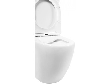 Унитаз-компакт BelBagno Amanda безободковый BB051CPR+BB051T+BB051SC - фото 8