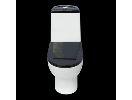 Унитаз-компакт Sanita Luxe Best Color Black - фото 4